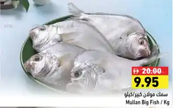 Aswaq Ramez Mullan Big Fish offer