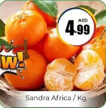 Amber Sandra Africa offer