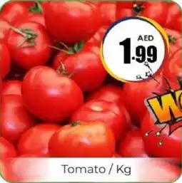Amber Tomato offer