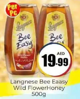 Amber Langnese Bee Eaasy Wild FlowerHoney offer