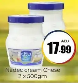 Amber Nadec cream Chese offer