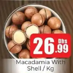 Amber Macadamia With Shell offer