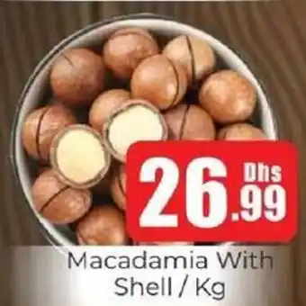 Amber Macadamia With Shell offer