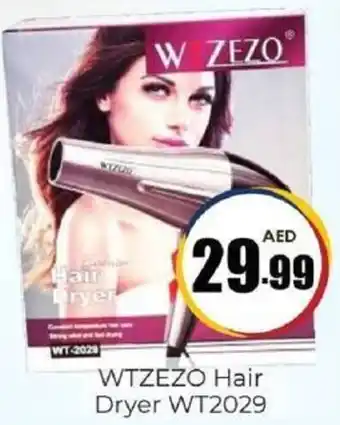 Amber WTZEZO Hair Dryer WT2029 offer