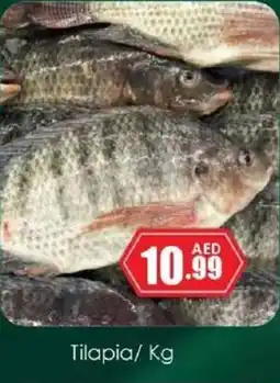 Amber Tilapia offer