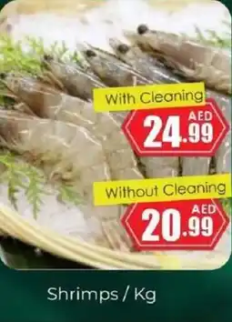Amber Shrimps offer