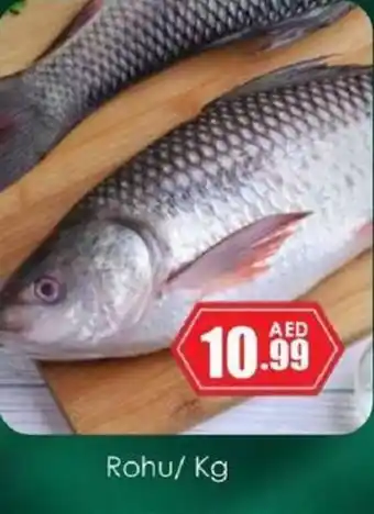 Amber Rohu offer