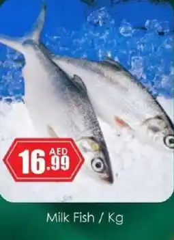 Amber Milk Fish offer