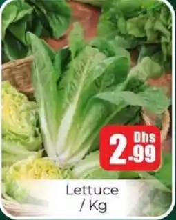 Amber Lettuce offer