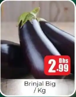 Amber Brinjal Big offer