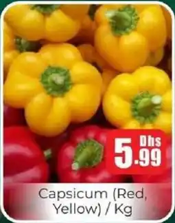 Amber Capsicum offer