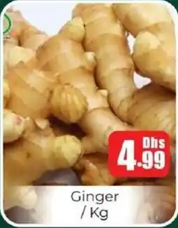 Amber Ginger offer