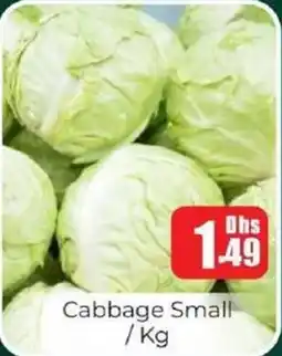 Amber Cabbage Small offer
