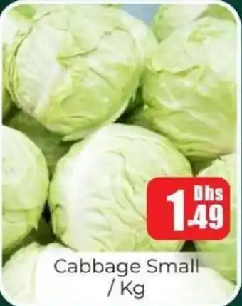 Amber Cabbage Small offer