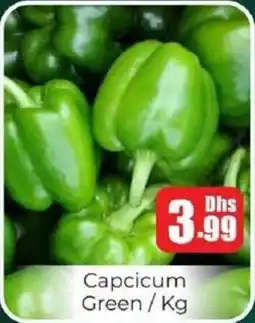 Amber Capcicum Green offer