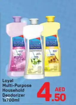 Day To Day Loyal Multi-Purpose Household Deodorizer offer
