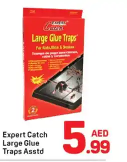 Day To Day Expert Catch Large Glue Traps offer