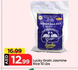Mark & Save VOLGA Jasmine Rice offer