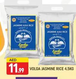 Al Madina VOLGA Jasmine Rice offer