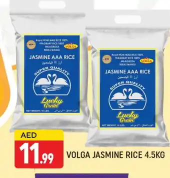 Al Madina VOLGA Jasmine Rice offer