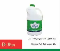 Istanbul Supermarket HAYATNA Laban offer