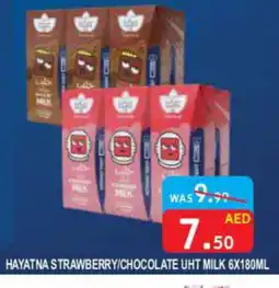 United Hypermarket HAYATNA Long Life / UHT Milk offer