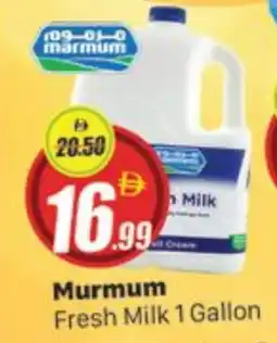 Al Madina MARMUM Fresh Milk offer