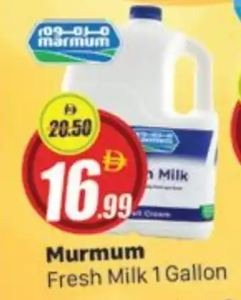 Al Madina MARMUM Fresh Milk offer
