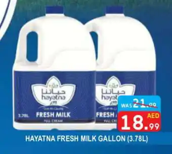 United Hypermarket HAYATNA Fresh Milk offer