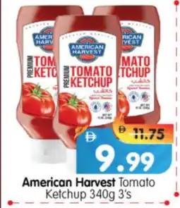 Al Madina Hypermarket AMERICAN HARVEST Tomato Ketchup offer