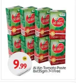 Bigmart AL AIN Tomato Paste offer