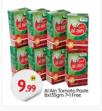 Bigmart AL AIN Tomato Paste offer
