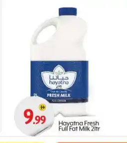 Bigmart HAYATNA Full Cream Milk offer