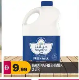 Bigmart HAYATNA Fresh Milk offer