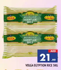 Al Madina VOLGA Egyptian / Calrose Rice offer