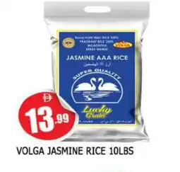 Al Madina VOLGA Jasmine Rice offer