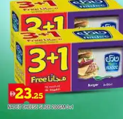 Al Madina NADEC Slice Cheese offer