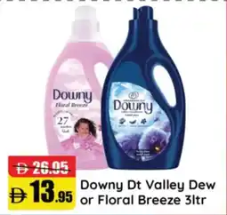 RAK Coop Downy Dt Valley Dew or Floral Breeze offer