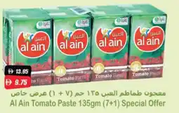 RAK Coop Al Ain Tomato Paste offer
