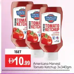 Talal Market AMERICAN HARVEST Tomato Ketchup offer