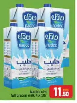 Al Madina NADEC Long Life / UHT Milk offer