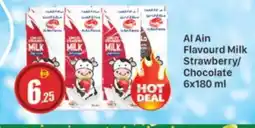 Al Madina AL AIN Flavoured Milk offer