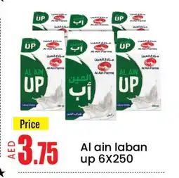 Mango Hypermarket LLC AL AIN Laban offer