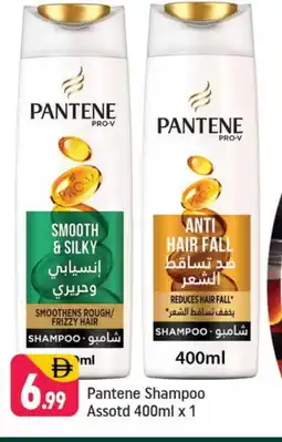 Shaklan PANTENE Shampoo / Conditioner offer