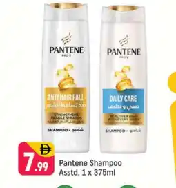 Shaklan PANTENE Shampoo / Conditioner offer