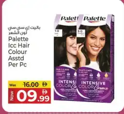 Kenz Hypermarket PALETTE Hair Colour offer