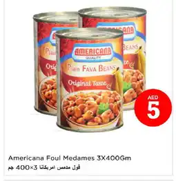 Last Chance AMERICANA Fava Beans offer
