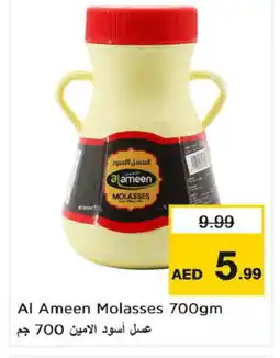 Nesto AL AMEEN Honey offer