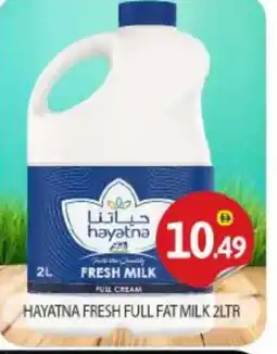 Bigmart HAYATNA Fresh Milk offer