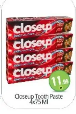 Bigmart CLOSE UP Toothpaste offer